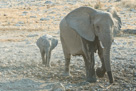 2006 - Namibia