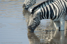 2006 - Namibia