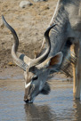 2006 - Namibia