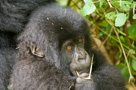 2007 - Rwanda