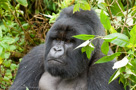 2007 - Rwanda