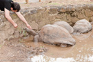 2009 - Mauritius - Club Med Albion