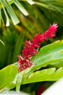 2009 - Mauritius - Club Med Albion