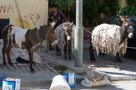 2012 - Marocco 